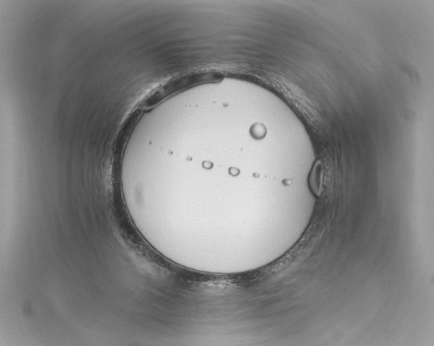 X0000115020112200911161454