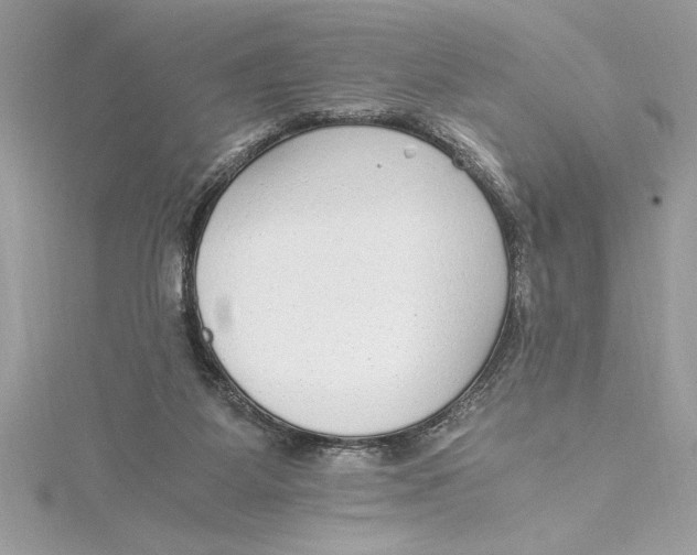 X0000115020115200911161454