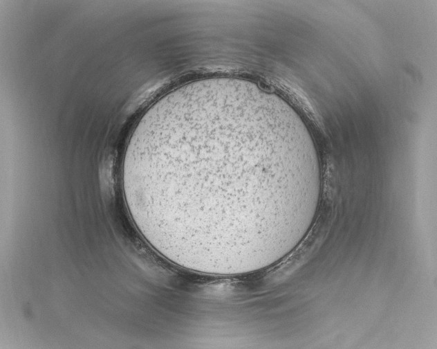 X0000115020116200911161454