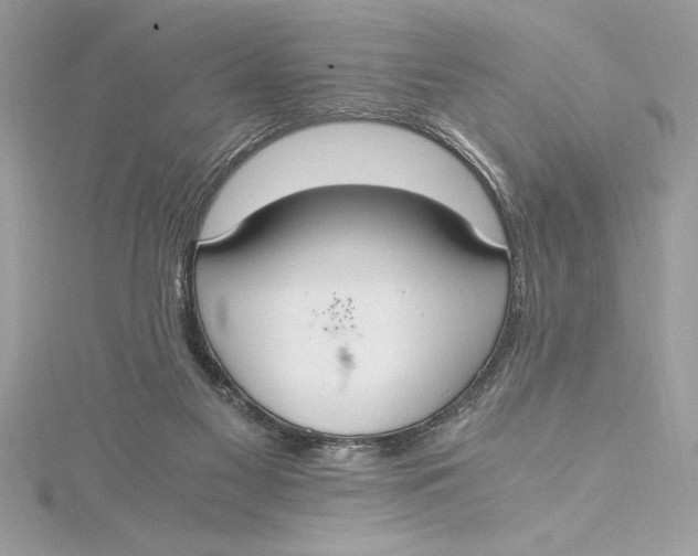 X0000115020117200911161454