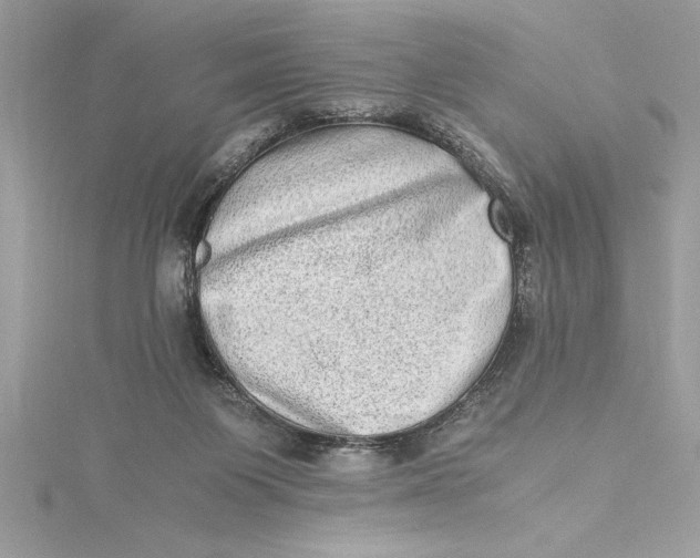 X0000115020119200911161454