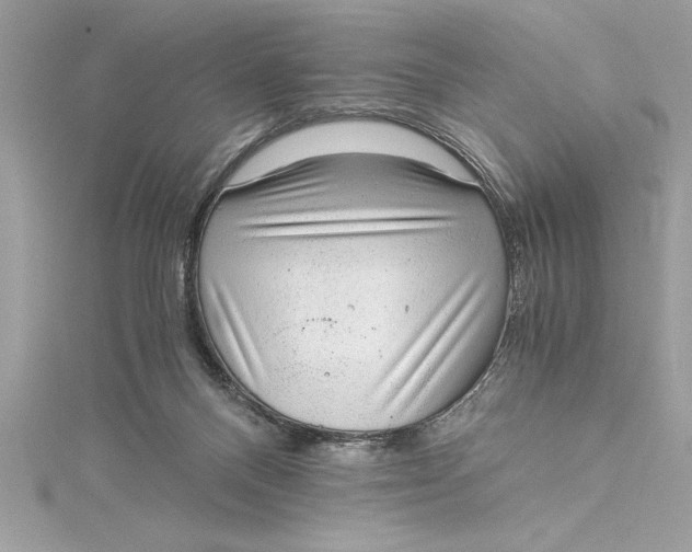 X0000115020120200911161454