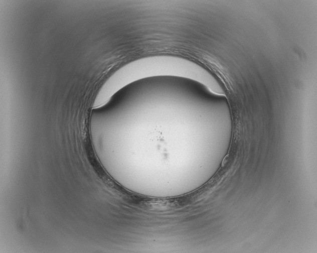 X0000115020121200911161454