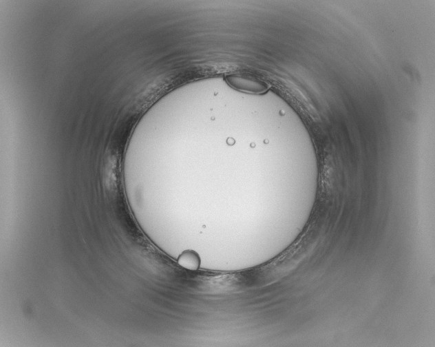 X0000115020122200911161454