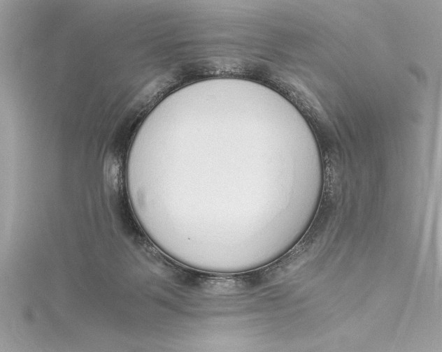 X0000115020123200911161454