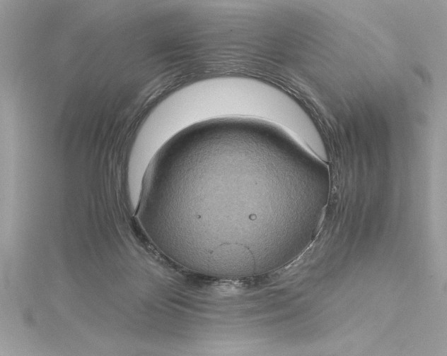 X0000115020124200911161454