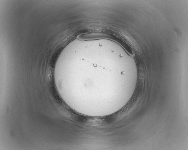 X0000115020125200911161454