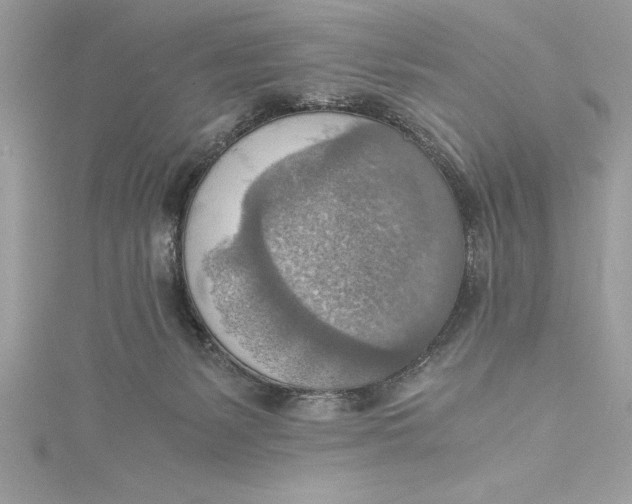 X0000115020127200911161454