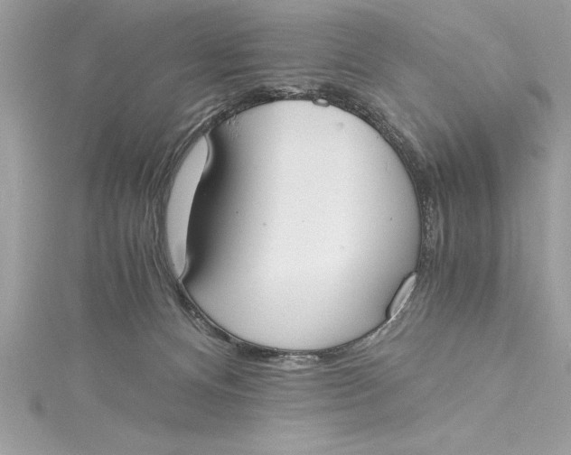 X0000115020128200911161454