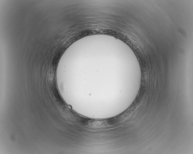 X0000115020129200911161454