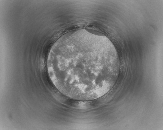 X0000115020130200911161454