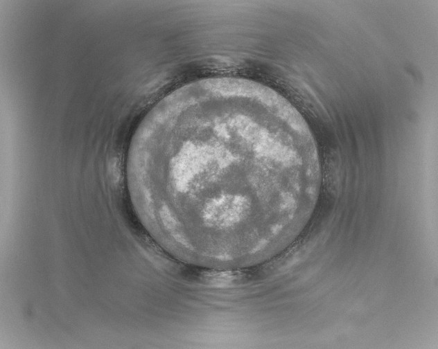 X0000115020131200911161454