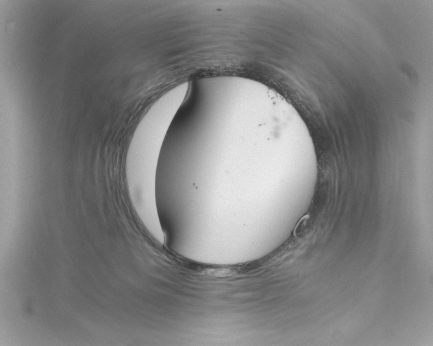 X0000115020133200911161454