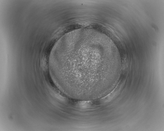 X0000115020136200911161454