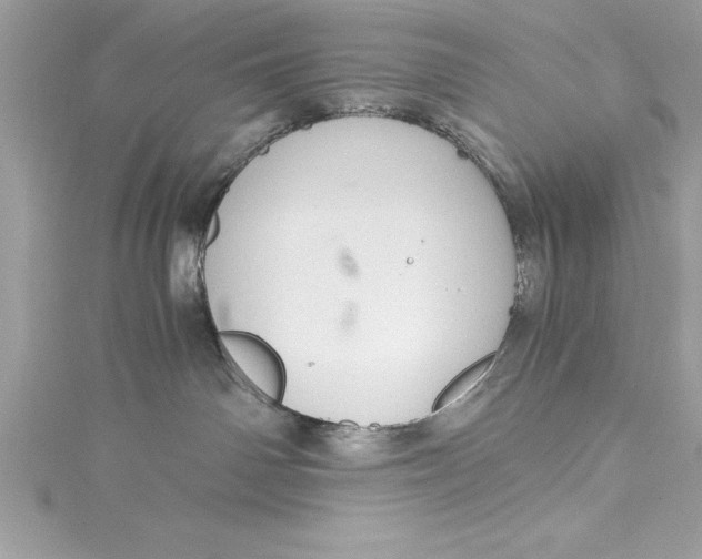 X0000115020142200911161454