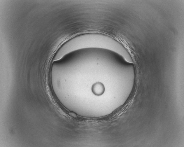 X0000115020145200911161453