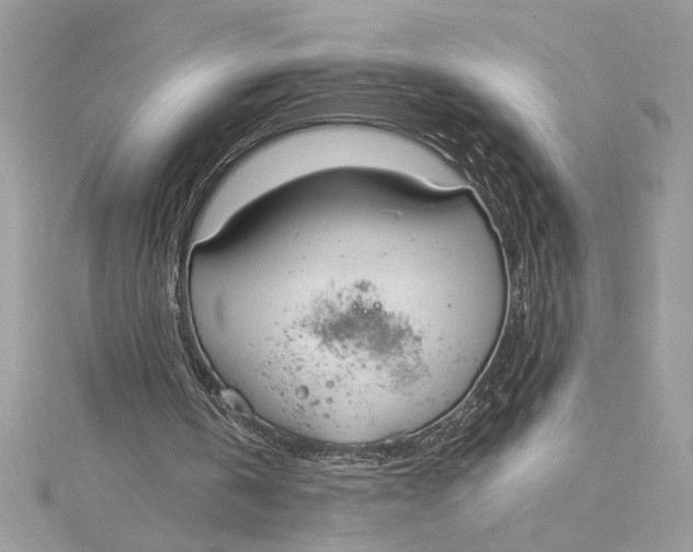 X0000115020146200911161453