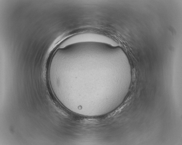 X0000115020150200911161453