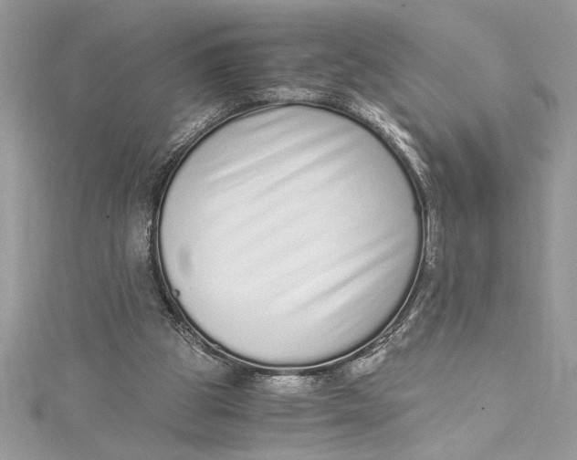 X0000115020153200911161453