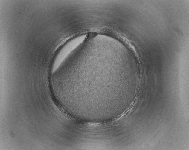 X0000115020154200911161453