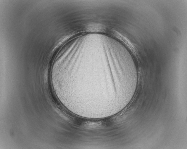 X0000115020155200911161453