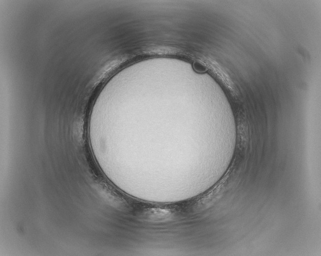 X0000115020159200911161454