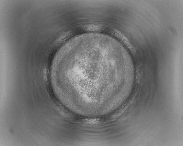 X0000115020161200911161454