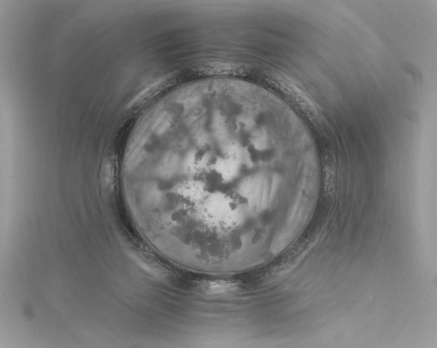 X0000115020165200911161454