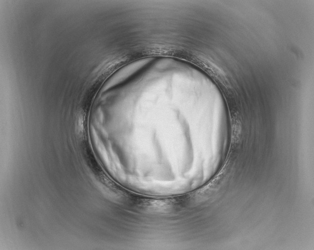 X0000115020166200911161454