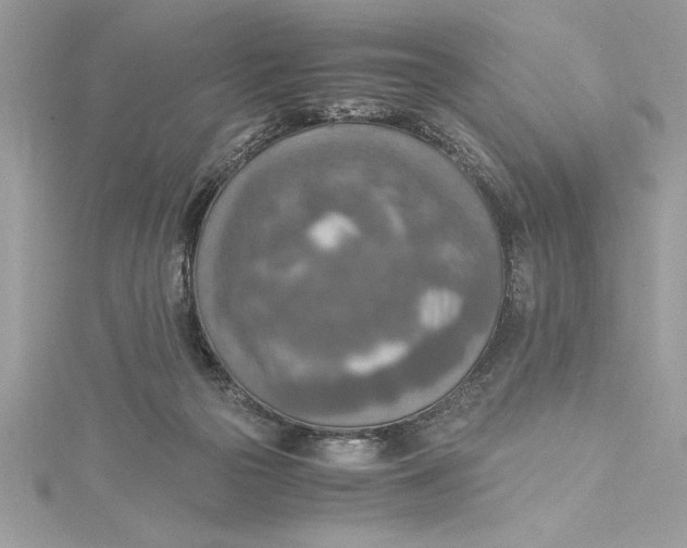 X0000115020169200911161454