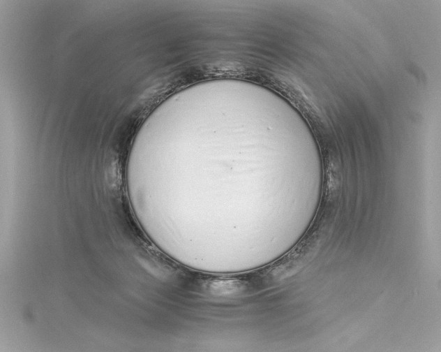 X0000115020173200911161454