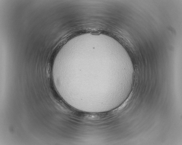 X0000115020174200911161454