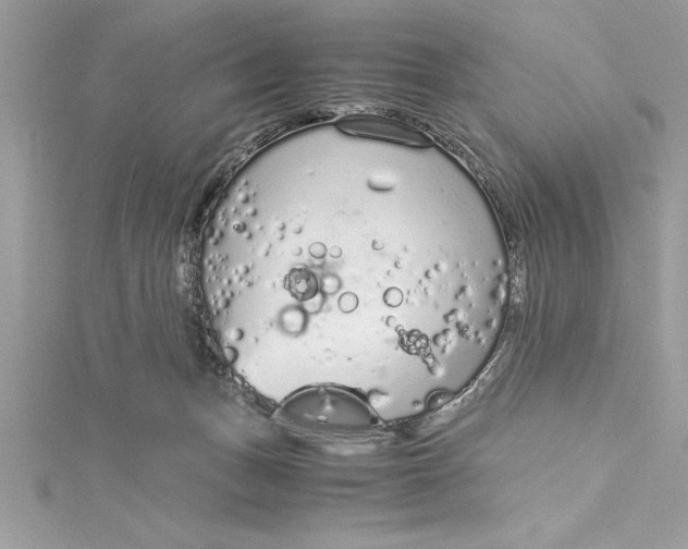 X0000115020175200911161454