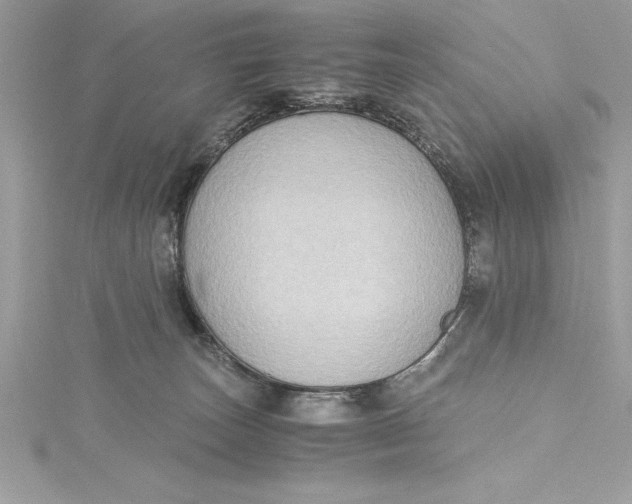 X0000115020179200911161454