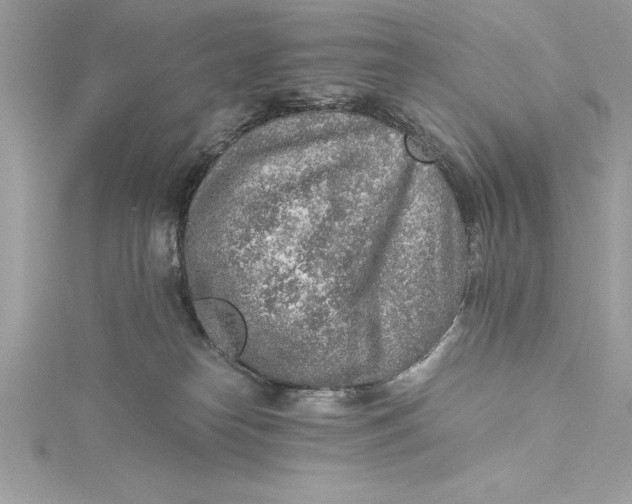 X0000115020182200911161454