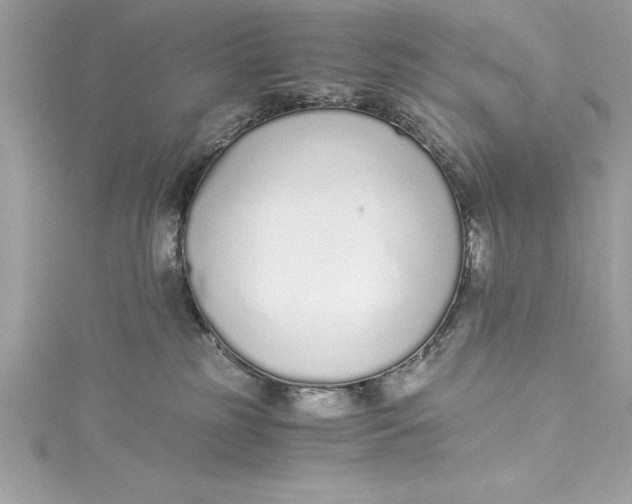 X0000115020185200911161454