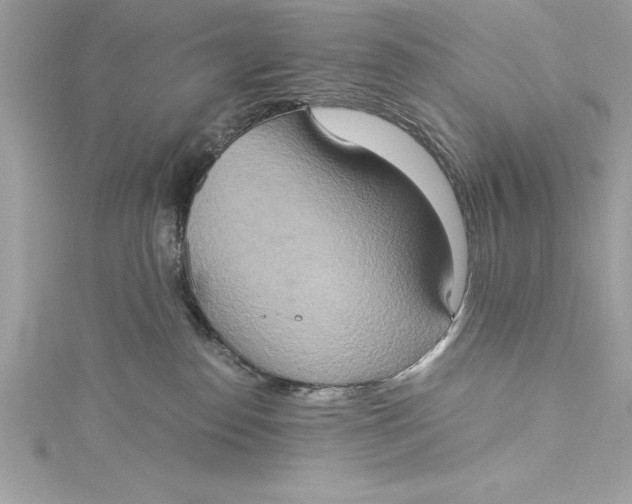 X0000115020186200911161454