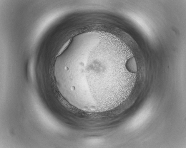 X0000115020189200911161454