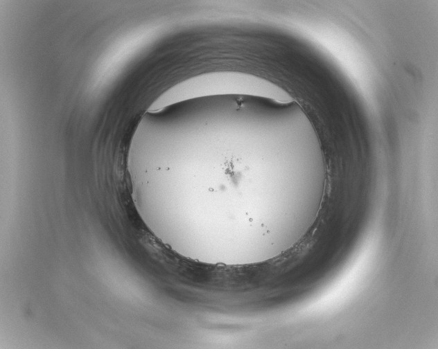 X0000115020190200911161454