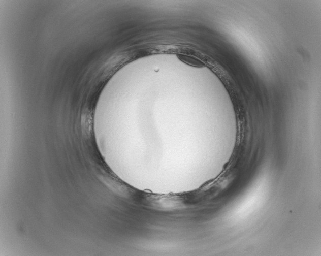 X0000115020191200911161454