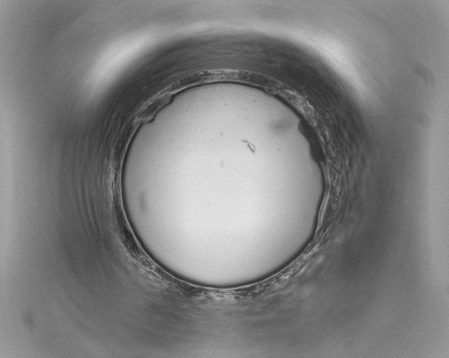 X0000115020194200911161453