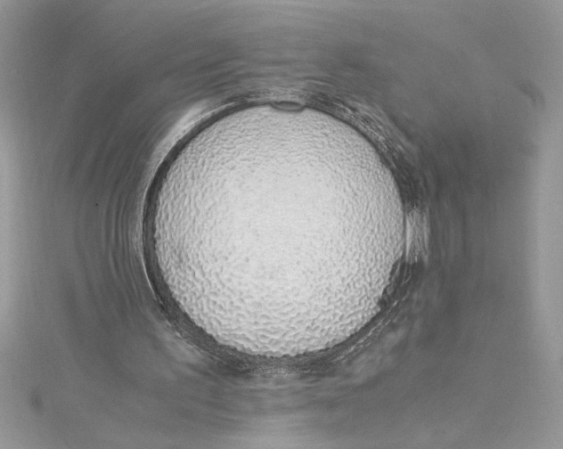 X0000115020195200911161453