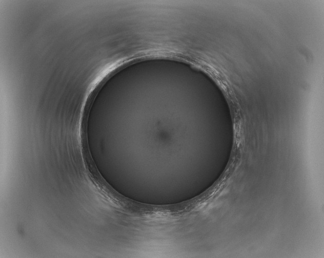 X0000115020196200911161453