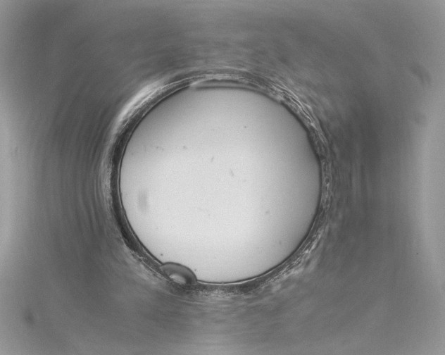 X0000115020197200911161453