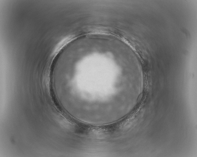 X0000115020199200911161453