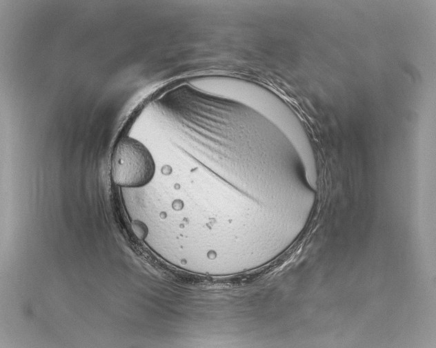 X0000115020200200911161453