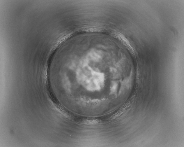 X0000115020202200911161453