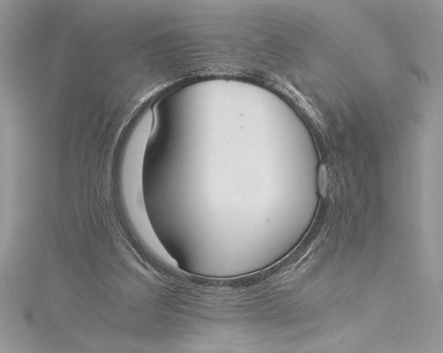 X0000115020203200911161453