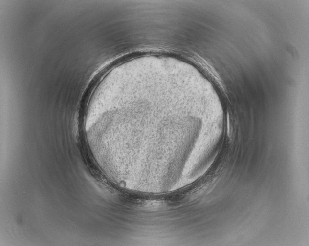 X0000115020204200911161453