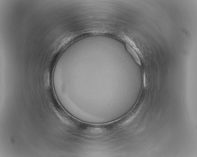 X0000115020205200911161453